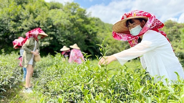 真理大學人文與資訊學系近年來與地方社區合作績效優異