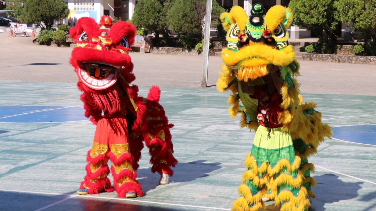 一開始登場的舞龍舞獅表演就讓現場氣氛熱鬧非凡，展現當地文化特色