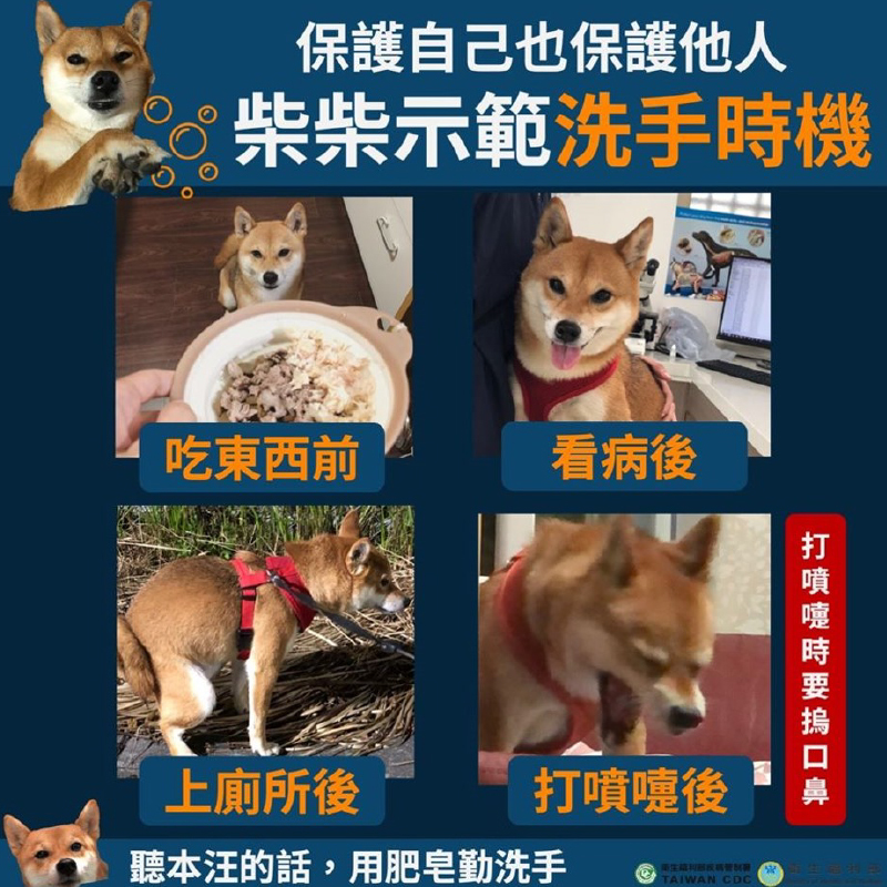 洗手時機圖片